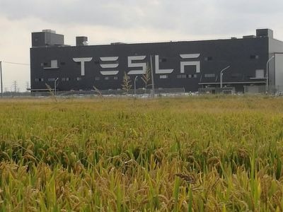狼真來了！特斯拉上海工廠投產，國產Model 3下線，十個月創奇跡，三季度盈利——對中國新能源市場的深遠影響